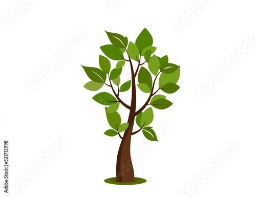 Tree icon. Nature, park. Vector image.