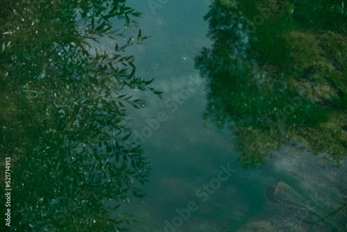 Underwater river landscape with algae and fry in green water grass concretum pipe