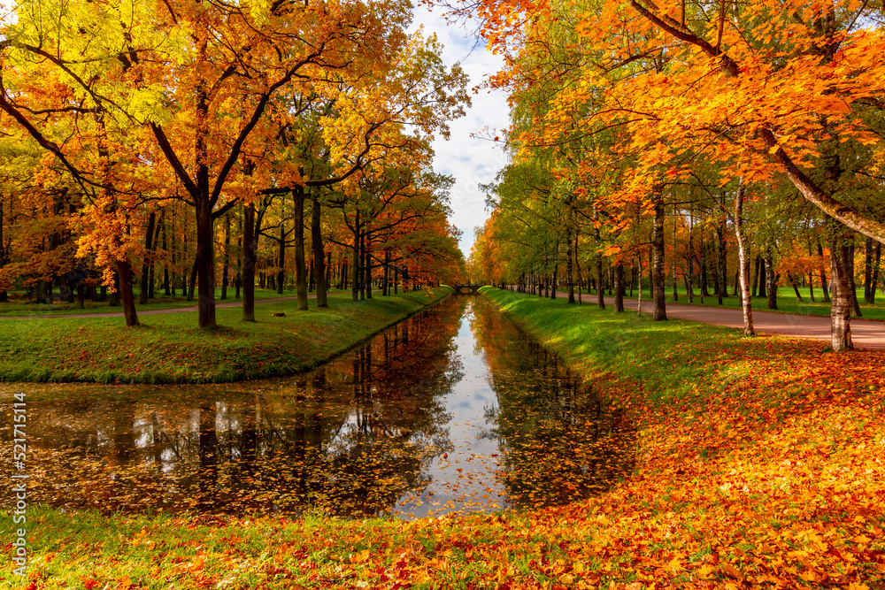 Autumn foliage in Alexander park, Tsarskoe Selo (Pushkin), Saint Petersburg, Russia