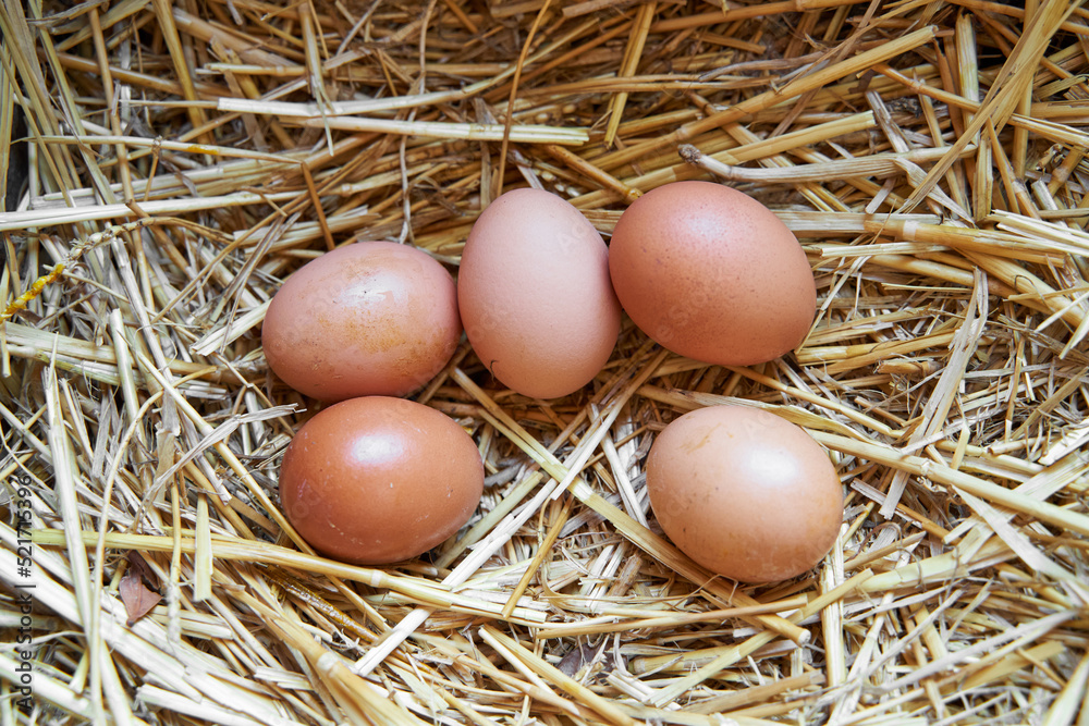 Natural organic eggs on straw, on a farm. The eggs have spots from the chickens. The bio eggs get their appearance from being kept naturally. Natural organic eggs on straw, on a farm. The eggs have spots from the chickens. The bio eggs get their appearance from being kept naturally.