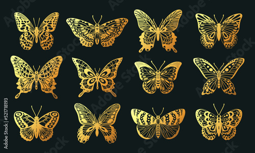 Obraz na płótnie Cartoon golden butterfly, cut out flying insects, cute butterflies