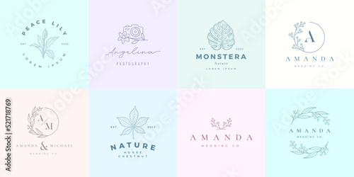 MInimalist feminine hand drawn floral logo