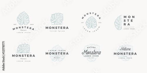 Hand drawn monstera logo