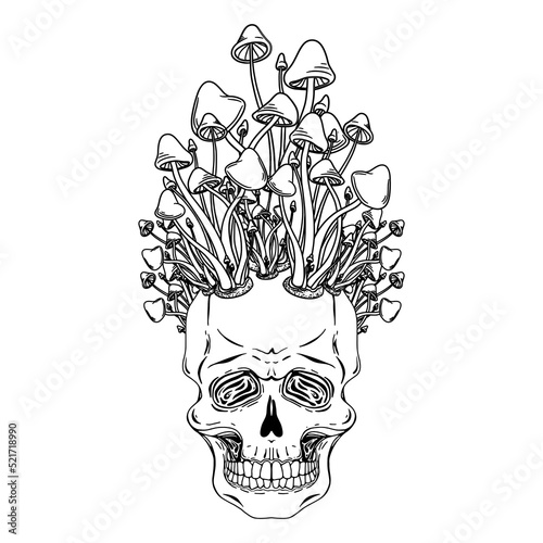 Skull with mushrooms. Hand drawn vector skull with mushrooms on head isolated on white background. Monochrome. Tatoo. Vintage. Phsycodelic art