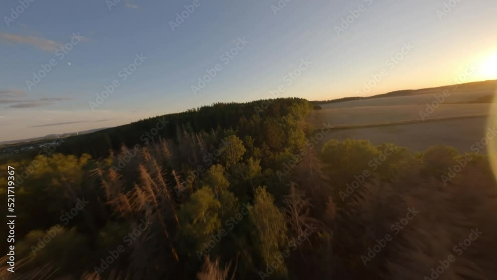 sunset over the forest / FPV drone / Cinematic sunset over the forest / FPV drone / Cinematic