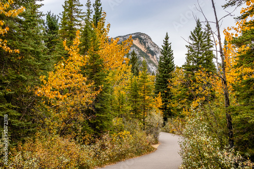 On the path at Mount Lorette Ponds. Bow Valley Wilderness Area, Alberta, Canada