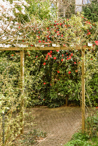 Simple small empty patio with snear wooden fence photo