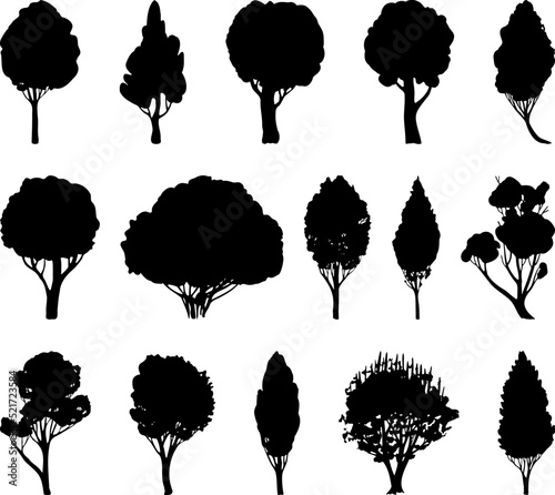 Vector trees silhouettes. Tree clipart. Black trees for print photo