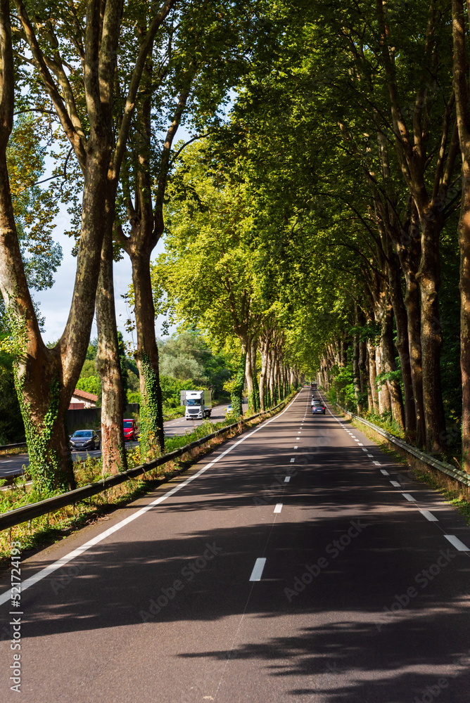 Straight road with two rows of trees on its edges and several vehicles circulating along it, creating a vanishing point.