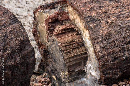Image captured at the Petrified Forest NP Arizona. Crystalized wood laying all over the place. The colors are amazing. photo