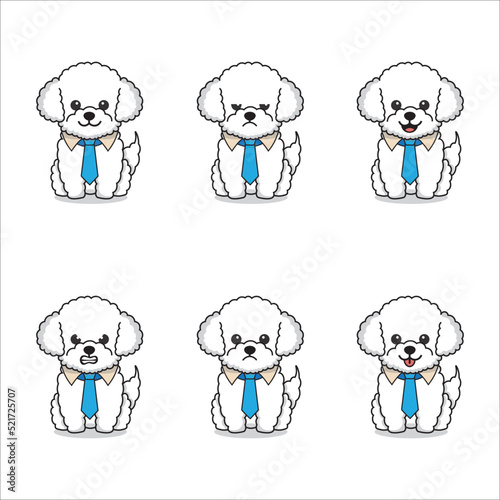 Set of poodle dogs with blue tie