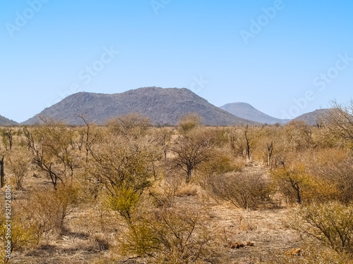 Low scrub across flat landscape with distant hill.