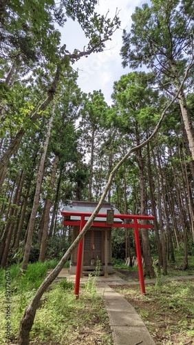 Shrine in the forest