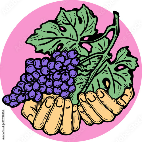 Grapes harvest in farmers hands. Etiquette logo design for wine bottle. Autumn rural vino festival. Winery production. Organic healthy food. Hand drawn retro vintage illustration. Old style drawing. 