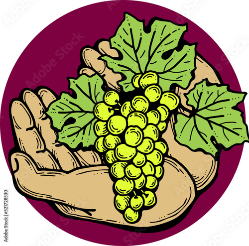 Grapes harvest in farmers hands. Etiquette logo design for wine bottle. Autumn rural vino festival. Winery production. Organic healthy food. Hand drawn retro vintage illustration. Old style drawing. 