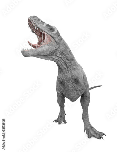tyrannosaurus rex is calling the others © DM7