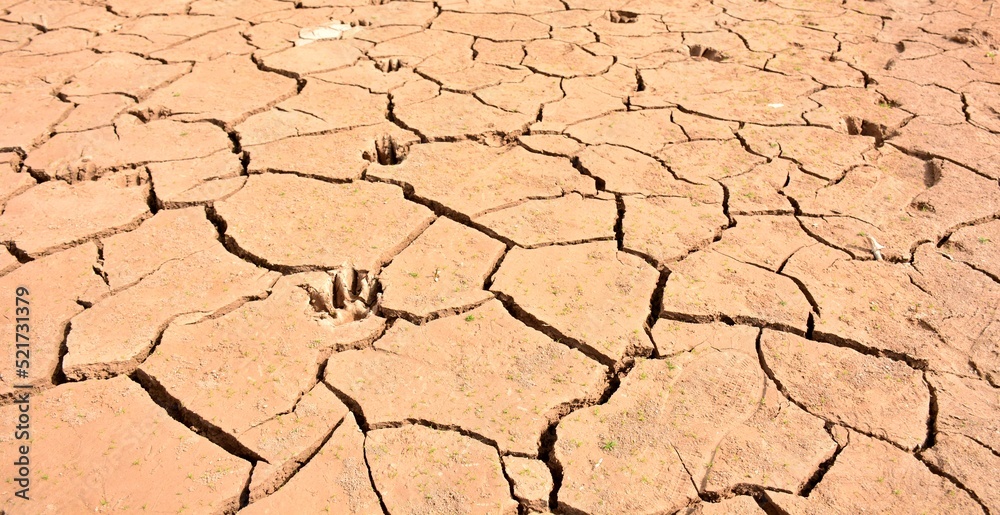Terreno agrietado por la falta de agua, sequía