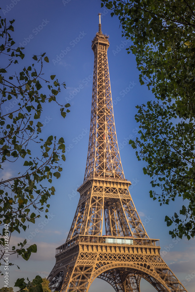 Eiffel tower view from trocadero framed by trees, Paris, France
