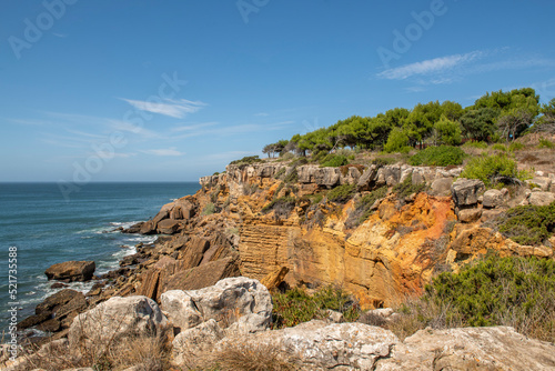 Nice brownstone cliffs on the Portuguese Atlantic coast crowned by a small grove of pine trees on a warm summer day with the breeze on the rocks near the sea