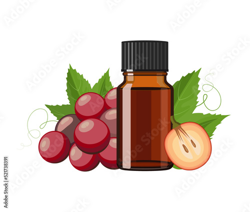 Grape seed essential oil n brown glass bottle, herbal alternative medicine treatment product, vector Illustration on white background