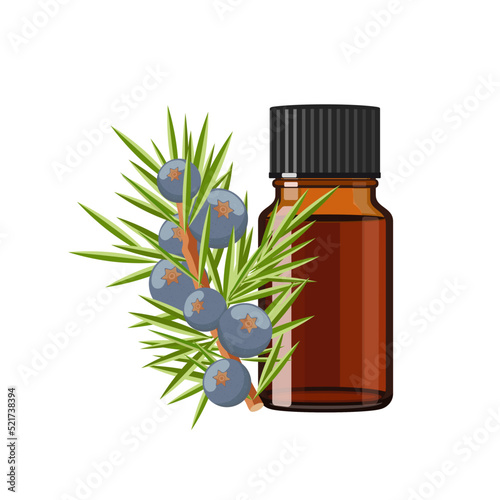 Juniper Essential Oil n brown glass bottle, herbal alternative medicine treatment product, vector Illustration on white background