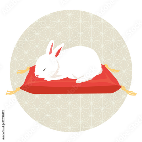 赤座布団に眠るウサギ