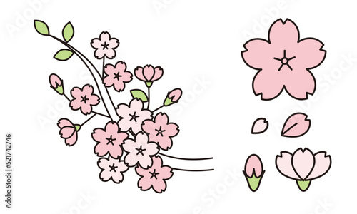 桜のイラスト素材