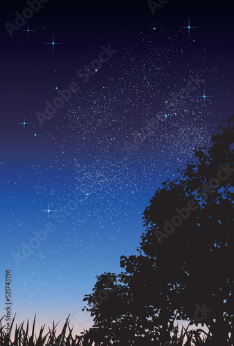 ベクター背景素材_夜空_草むら