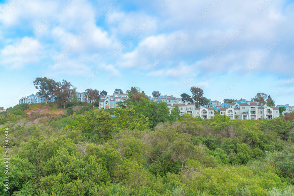 Fototapeta premium Carlsbad neighborhood on top of a slope at San Diego, California