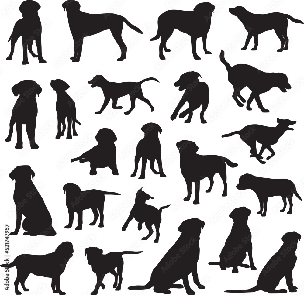 Labrador retriever dog silhouettes