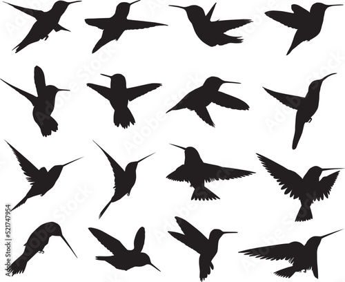 Hummingbirds silhouettes © Dava
