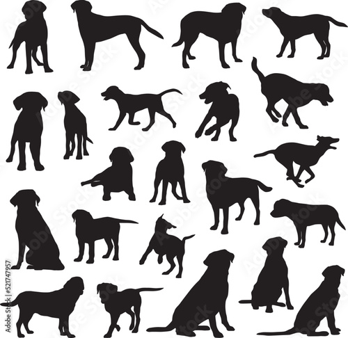 Labrador retriever dog silhouettes