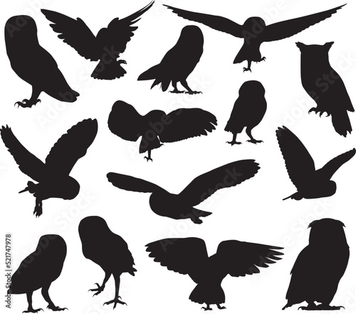owl silhouette