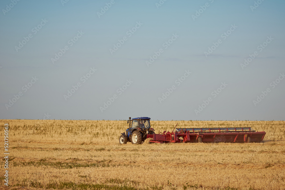 Obraz premium swather and tractor at the wheat harvest