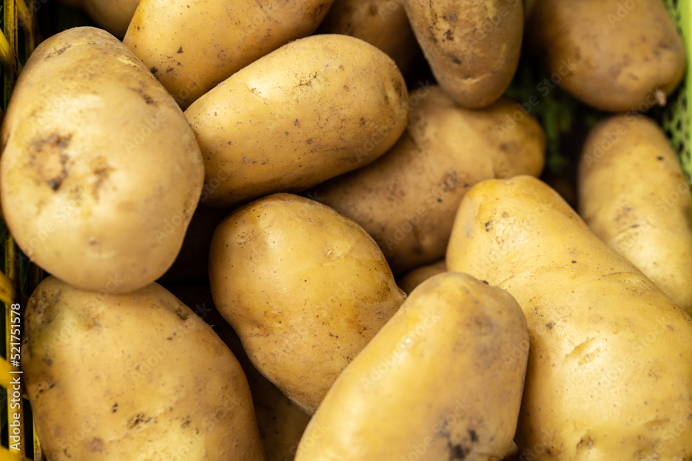 plenty of fresh potatoes on the market plenty of fresh potatoes on the market
