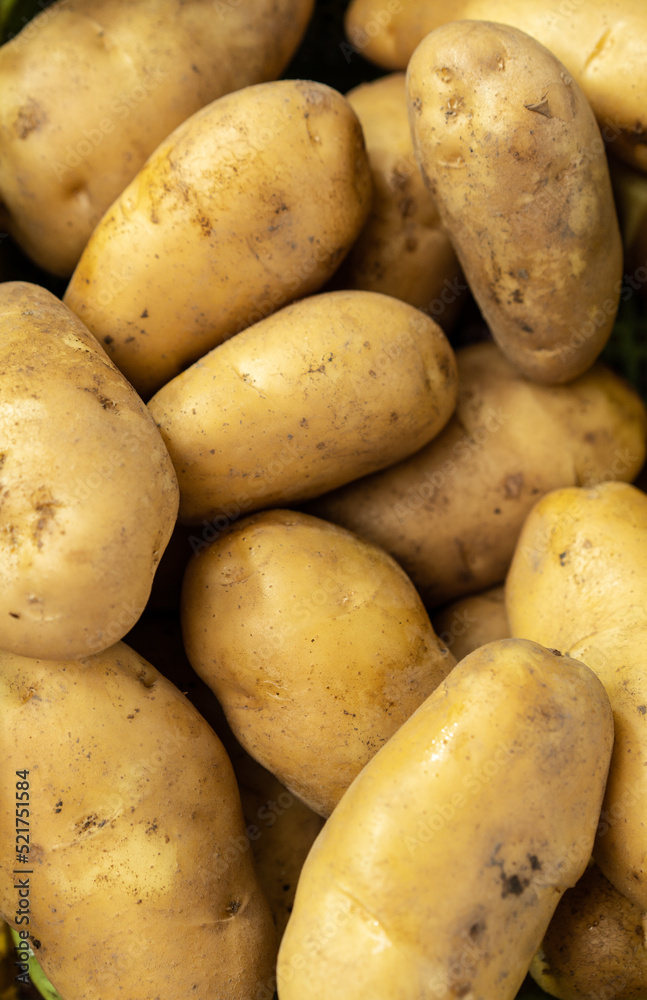 plenty of fresh potatoes on the market plenty of fresh potatoes on the market