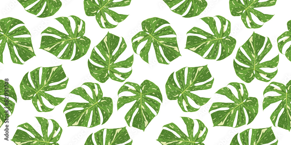 Monstera leaf seamless pattern background vector illustration