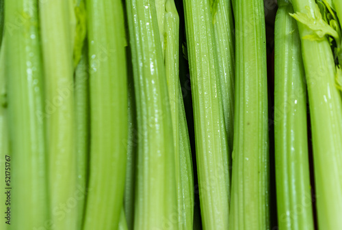 close-up of fresh celery, green texture.