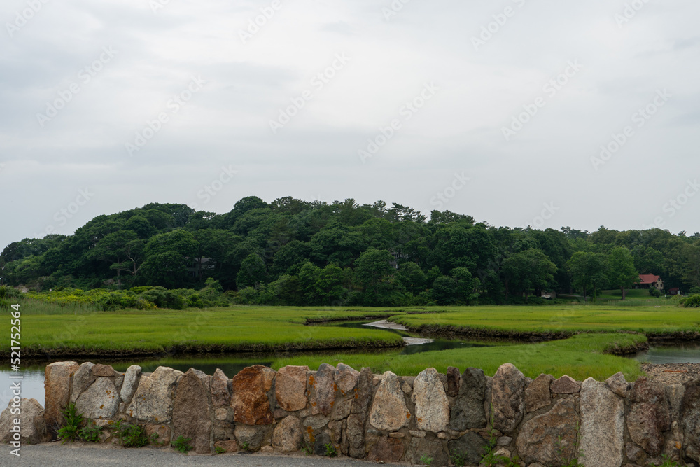 Estuary with vibrant green grass