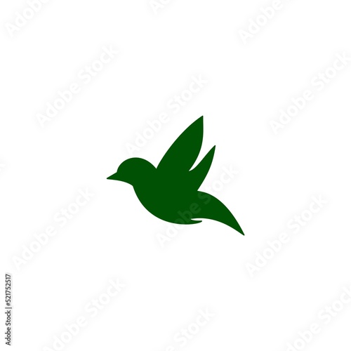 illustration of a bird