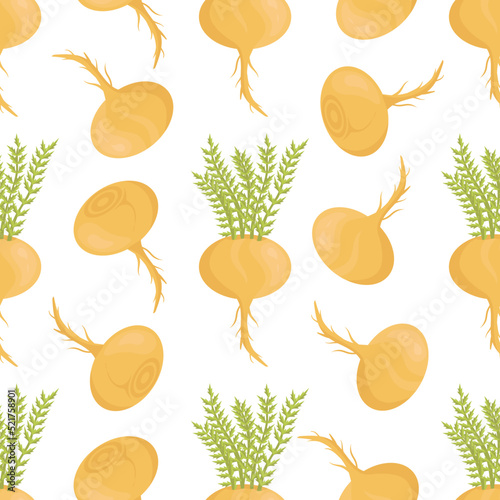 Lepidium meyenii. Maca. Root. Seamless pattern. Vector
