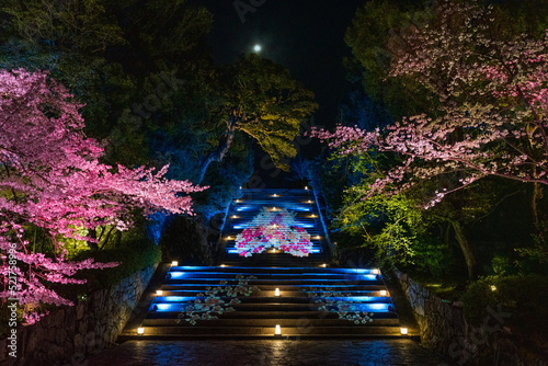 Projection mapping on the stairs leading to the main temple grounds.