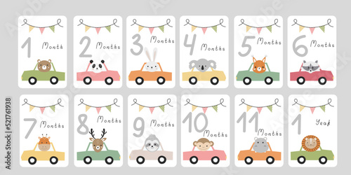 Cute set monthly milestone cards. Baby postcards with numbers and animals by car newborn boy or girl. Print baby shower, baby's birthday. Kids collection of 1-11 months and 1 year. Cartoon bear, panda