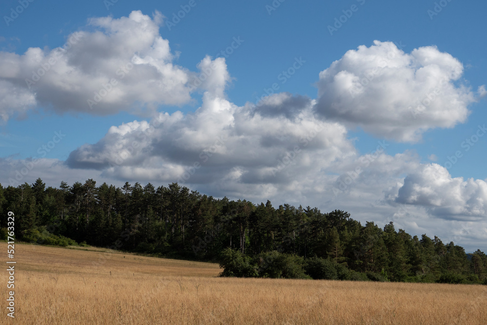 Landschaft im Sommer