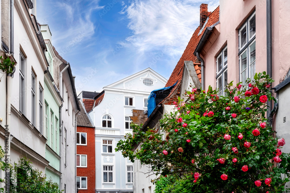 Fototapeta premium Beautiful street with plants and roses in the old town of Lübeck, Germany