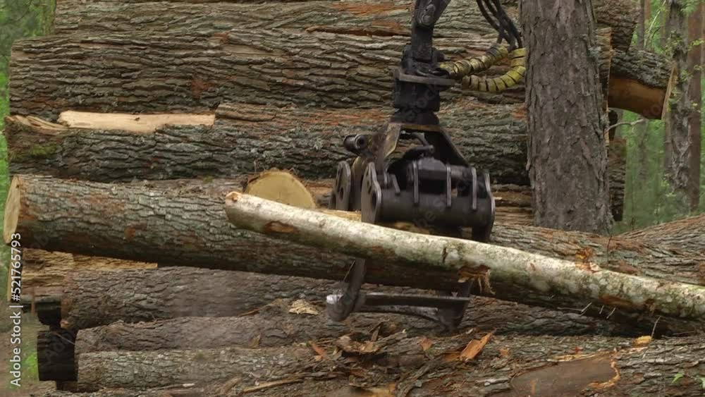Forest industry. Operations for loadingunloading logging truck at felling and logging site