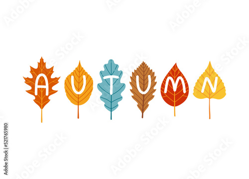 Autumn lettering on leaves fall season vector