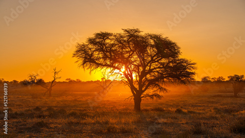 Sunrise in Kgalagadi National Park, South Africa photo