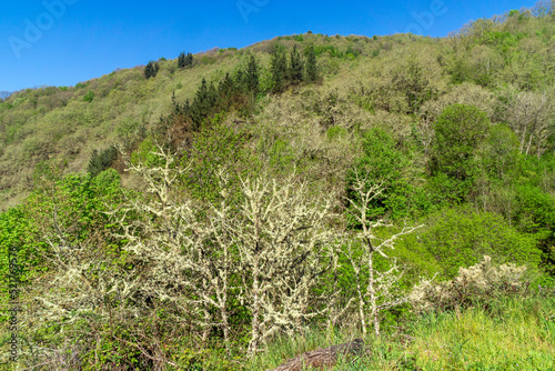 Paisaje de la Sierra del Caurel en primavera. Lugo, Galicia, España.