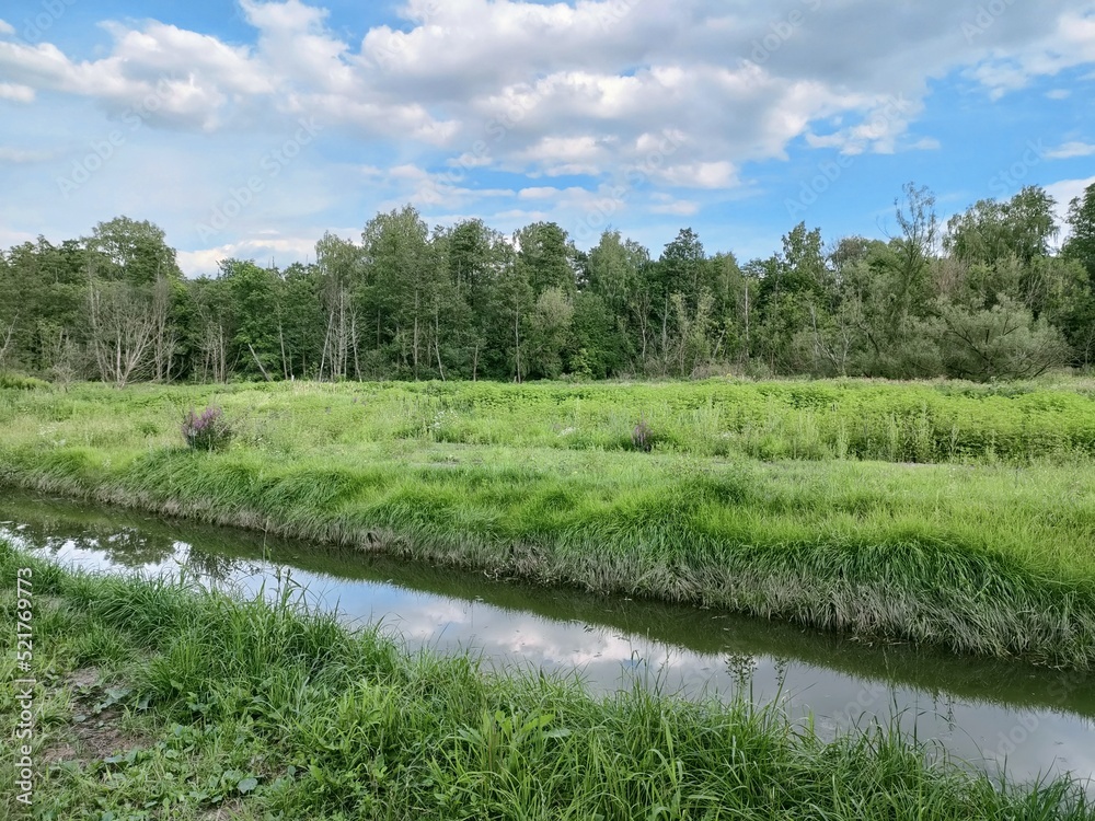Fototapeta premium beautiful landscape field forest river and clouds
